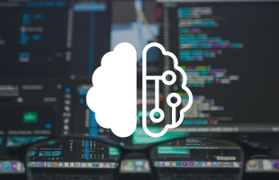 The true usability of AI